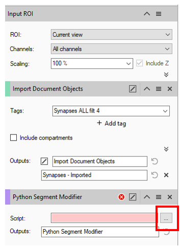 Panel showing 'Input ROI' (Current view; All channels; 100%) and 'Import Document Objects' tag 'Synapses ALL filt 4'.