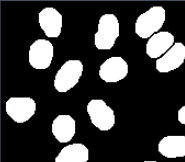 Binary mask image of white segmented oval objects on black background