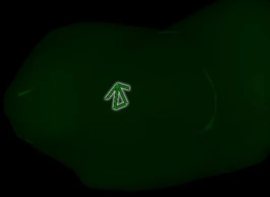 Dark green irregular blob on black background with a white-outlined green arrow marker near center pointing up-left.