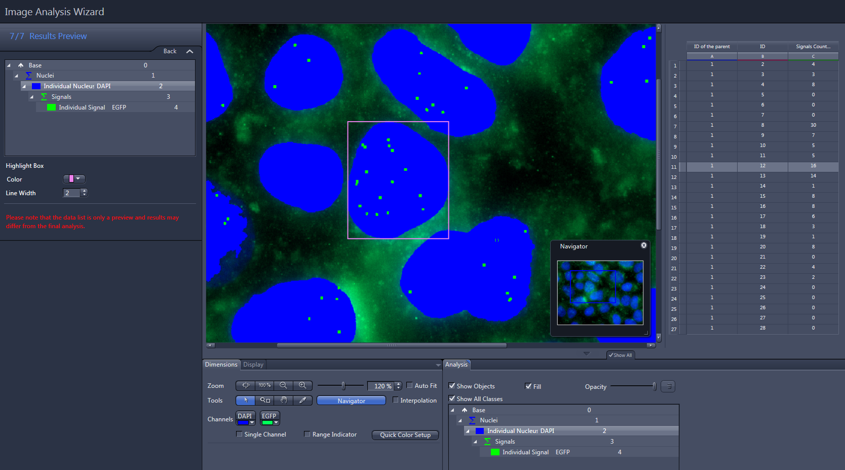 Image Analysis Wizard screenshot: blue nuclei with green signal dots, left layer list and right data table.