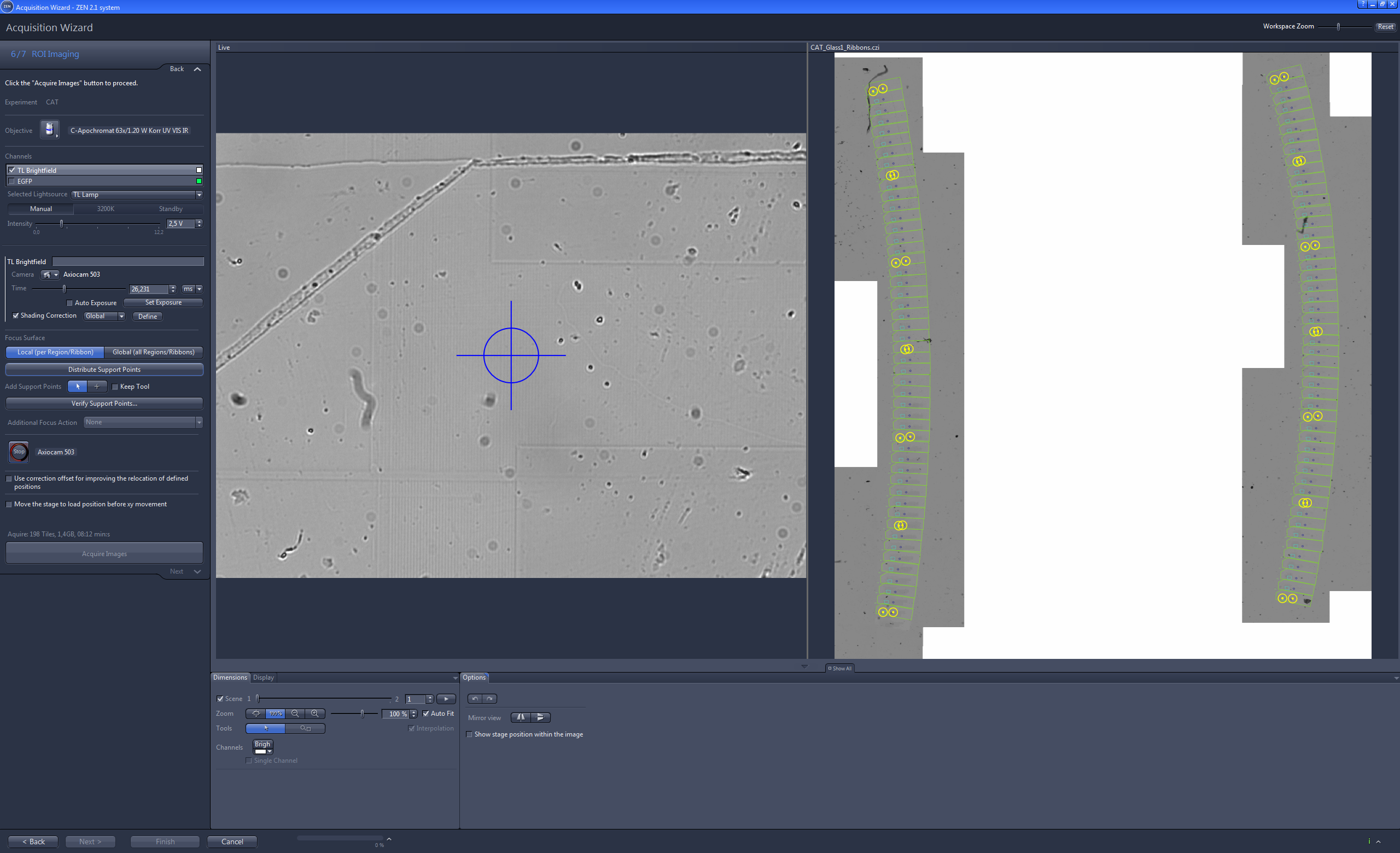 Microscope software screenshot: grayscale sample with central blue crosshair, left controls, tiled ROIs with green outlines