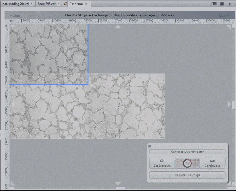 Panorama view showing three grayscale tiles, a blue selection box, rulers, and header mentioning 'Acquire Tile Image'
