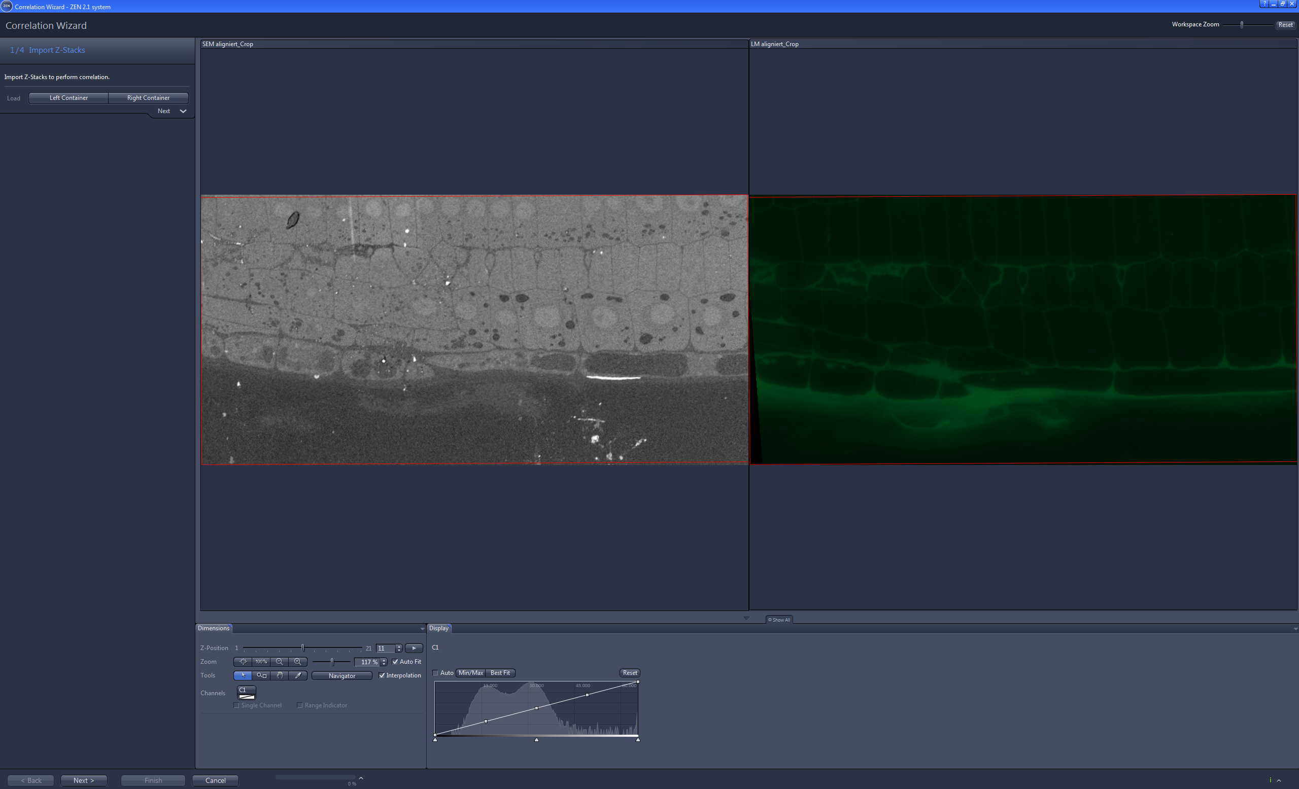 Correlation Wizard window showing Import Z-Stacks with grayscale SEM image left and green LM image right