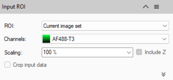 Input ROI panel showing ROI: Current image set; Channels: AF488-T3 with green swatch; Scaling: 100% (Include Z checked)