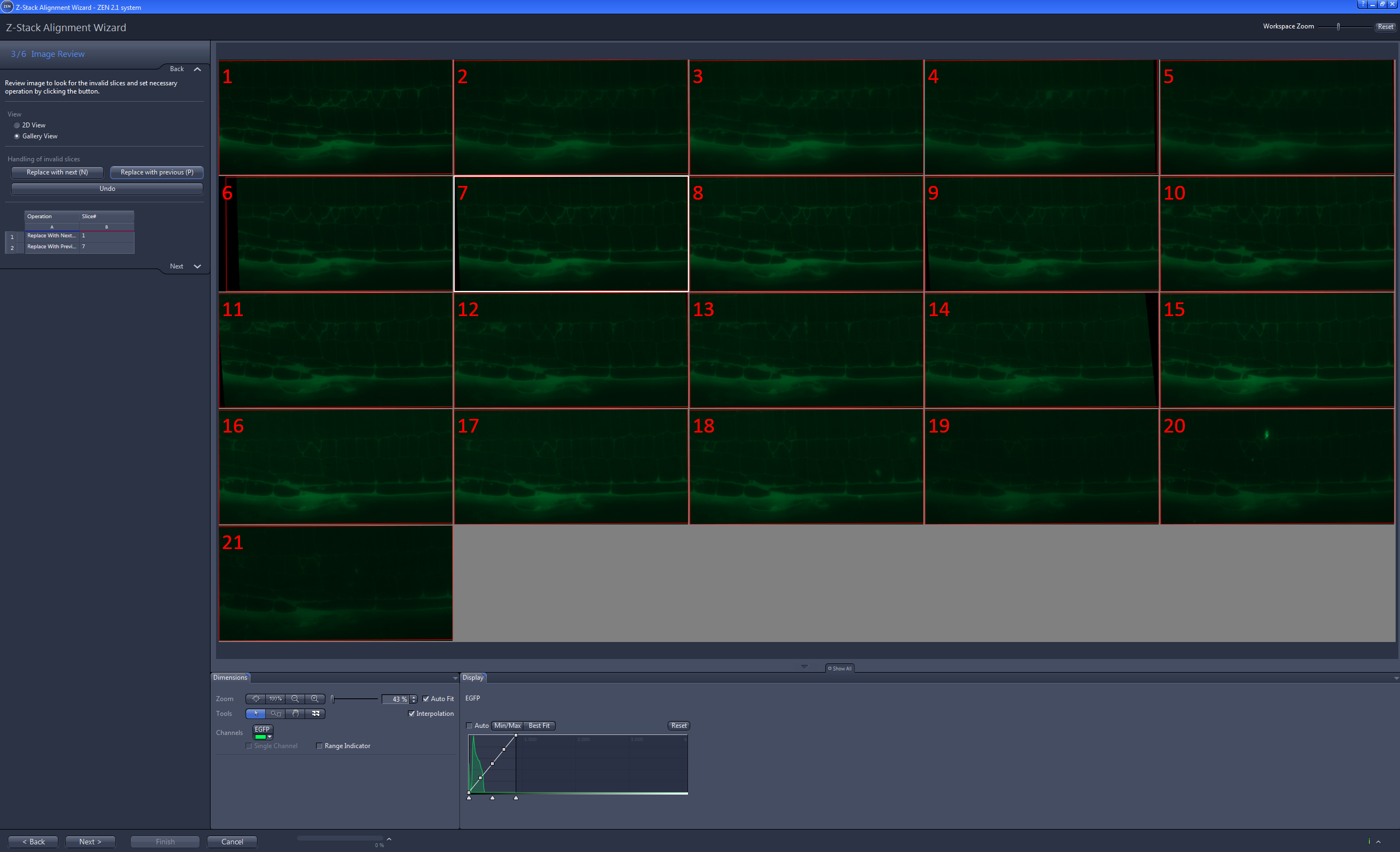 Z-Stack Alignment Wizard Image Review step showing a numbered grid of green fluorescent Z-slice thumbnails