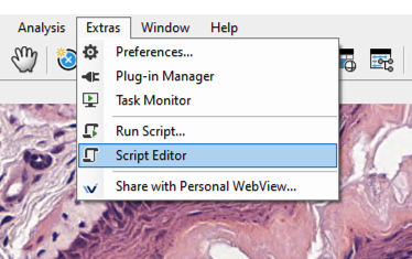 Importing & Editing the Script | Script Editor Guide