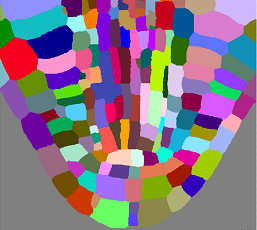 Multicolored mosaic of irregular rounded tiles arranged in a curved fan with a central oval on gray background
