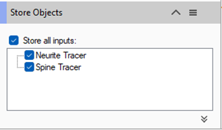 Store Objects dialog with checked Store all inputs: box and checked Neurite Tracer and Spine Tracer items