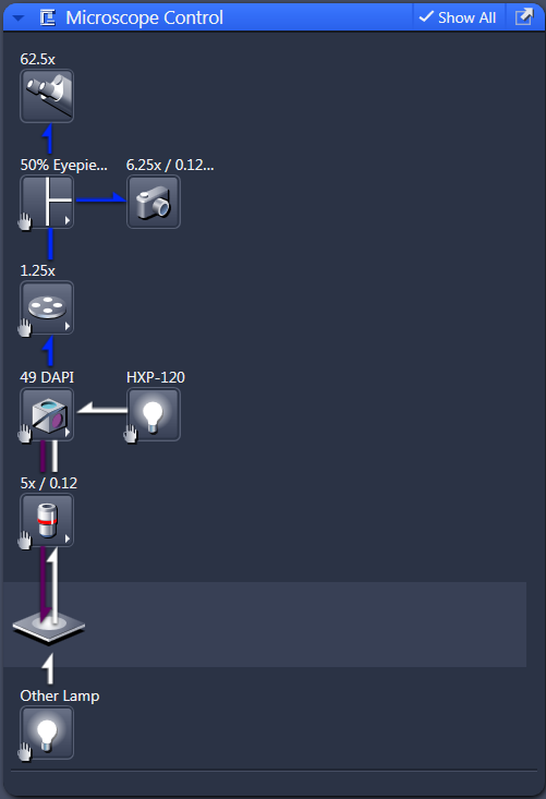 Microscope Control panel showing labels: 62.5x; 50% Eyepie...; 6.25x/0.12...; 1.25x; 49 DAPI; HXP-120; Other Lamp