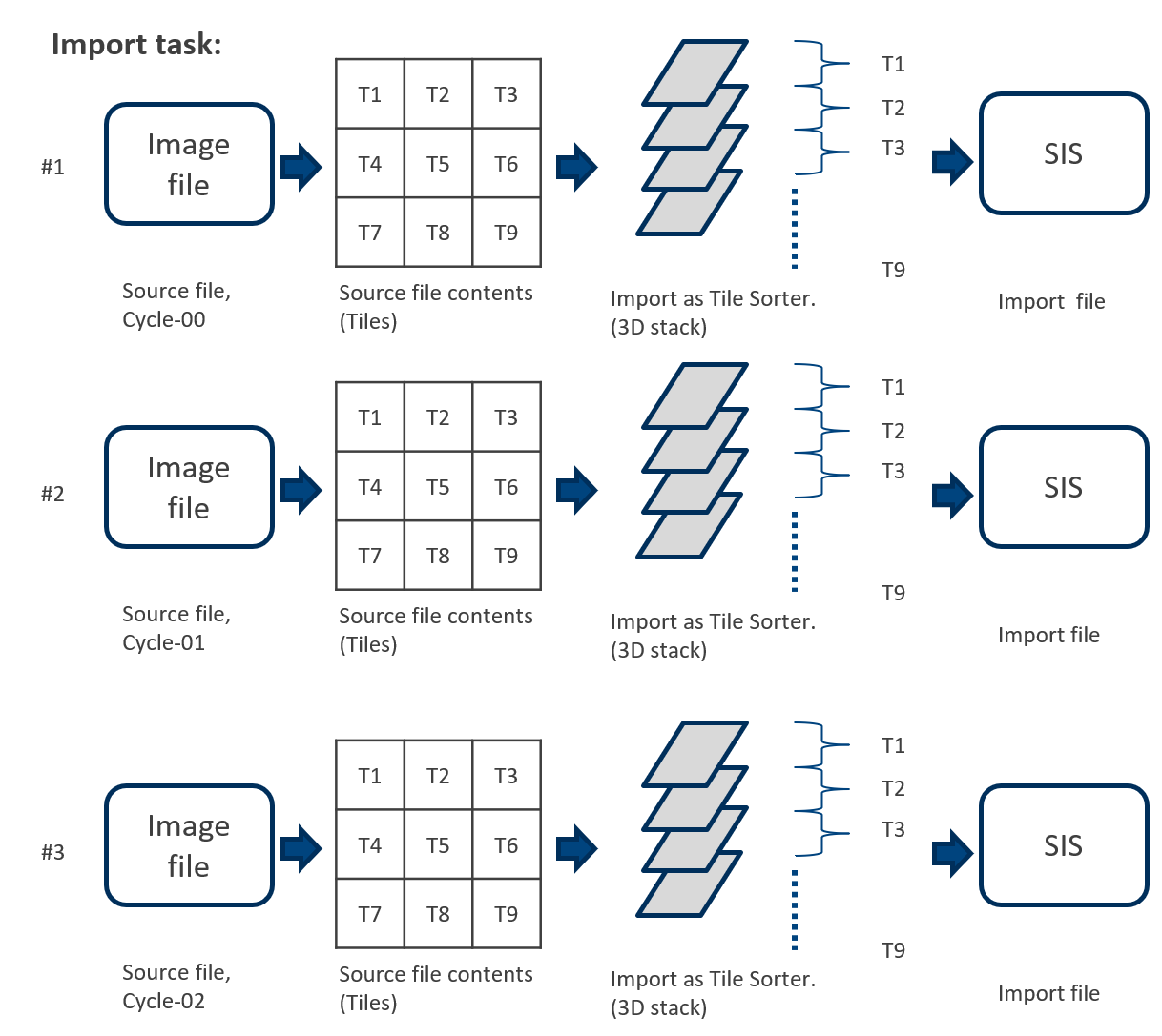 Import task diagram: Image file with 3x3 tiles T1-T9 imported as 3D stacks and saved to SIS