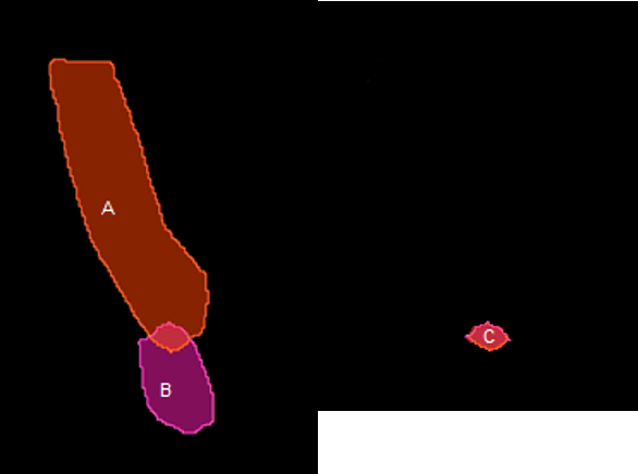 Brown elongated shape labeled A, purple shape labeled B, and small red shape labeled C on black background