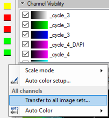 Channel Visibility panel showing checked channels and a context menu with 'Transfer to all image sets...' option