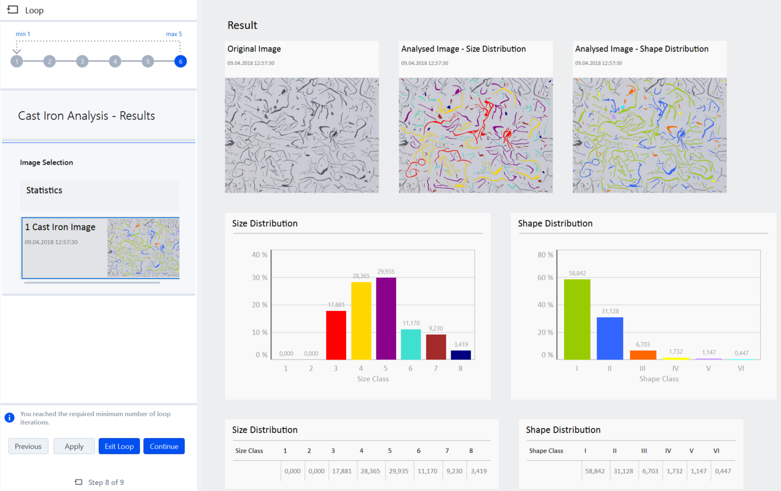 Results view showing Original and Analysed images and bar charts for Size Distribution and Shape Distribution by class