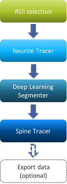 Vertical flowchart: ROI selection → Neurite Tracer → Deep Learning Segmenter → Spine Tracer → Export data (optional)