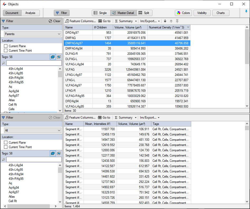 Objects window split view highlighting DMPAG-fig97 row above and segment rows with Mean Intensities and Volume below