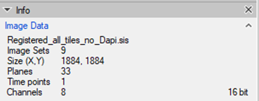 Info panel listing Image Data 'Registered_all_tiles_no_Dapi.sis', Image Sets 9, Size (X,Y) 1884,1884, Planes 33, Channels 8