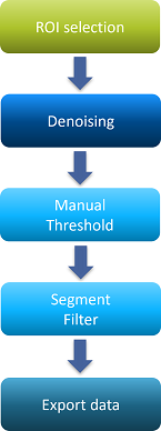 Vertical flowchart: ROI selection → Denoising → Manual Threshold → Segment Filter → Export data