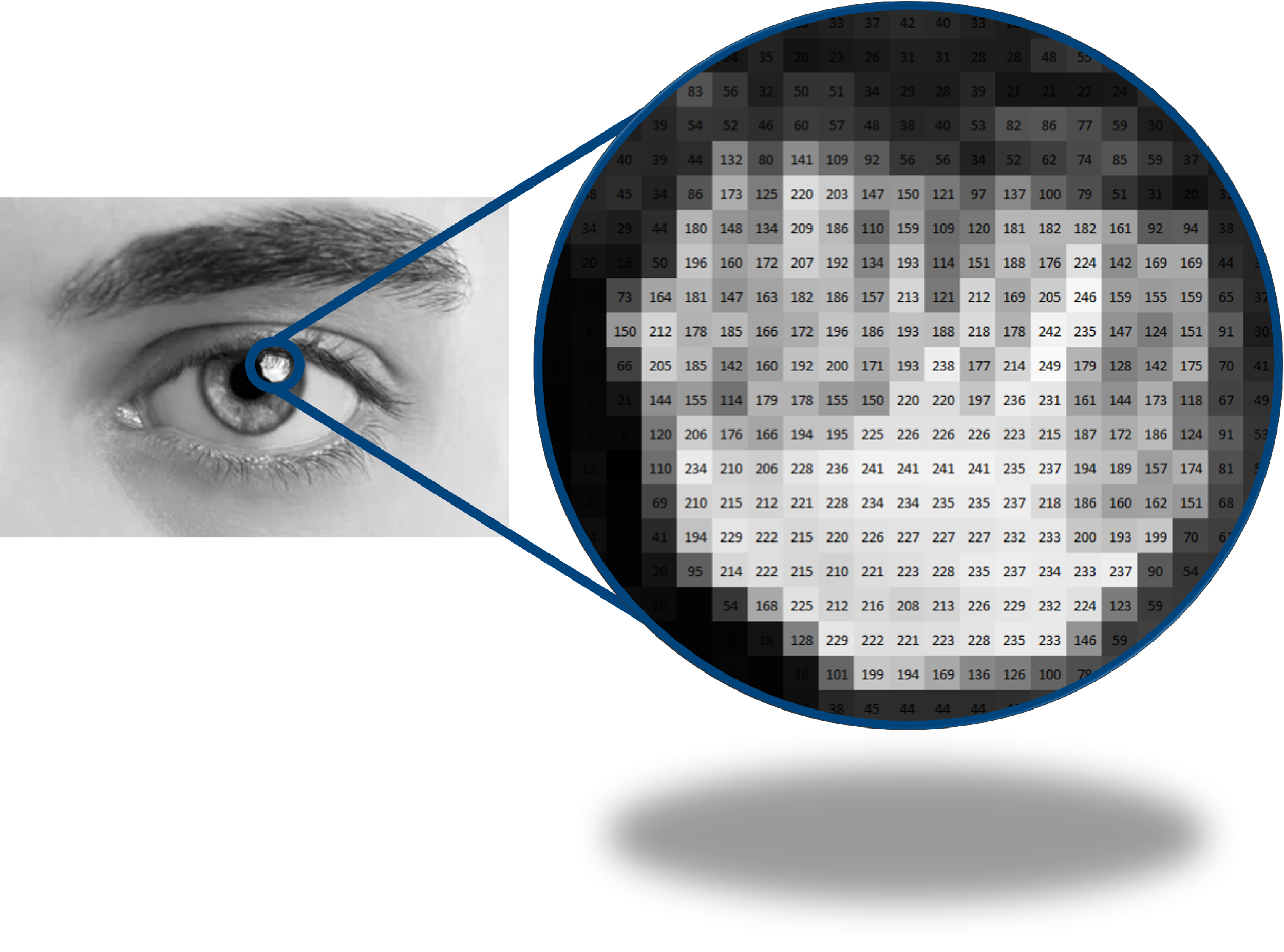 Grayscale human eye with blue connectors to magnified circular pixel grid showing numeric intensity values in squares