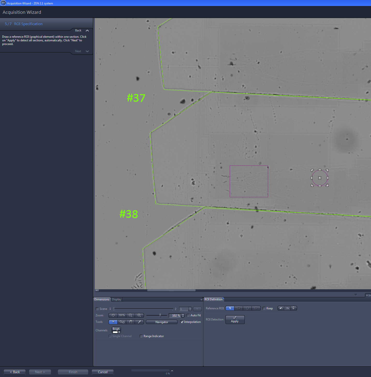 Gray microscope view with green polygon ROIs labeled #37 and #38, purple square and circular marker