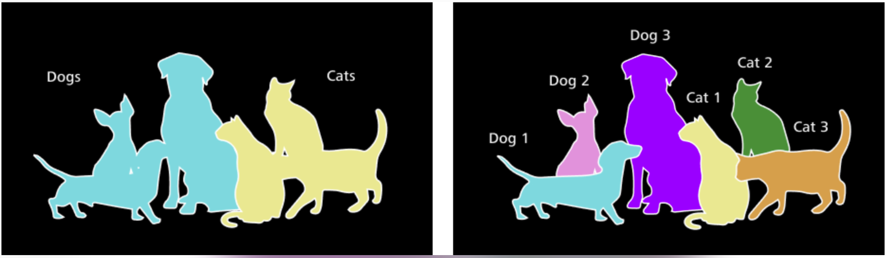 Split image: left cyan dogs labeled Dogs and yellow cats labeled Cats; right colored silhouettes labeled Dog 1–3, Cat 1–3