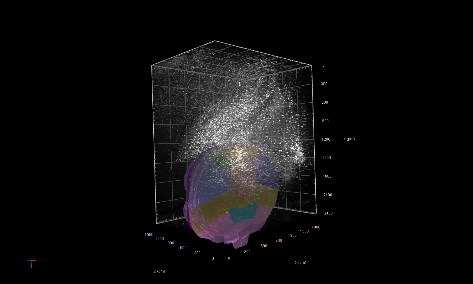 3D viewer with transparent grid cube, white particle cloud above a colored translucent segmented object, axes labeled X Y Z (μm)