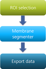 Flowchart of three boxes labeled 'ROI selection', 'Membrane segmenter' and 'Export data' connected by arrows