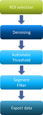Vertical flowchart: ROI selection → Denoising → Automatic Threshold → Segment Filter → Export data