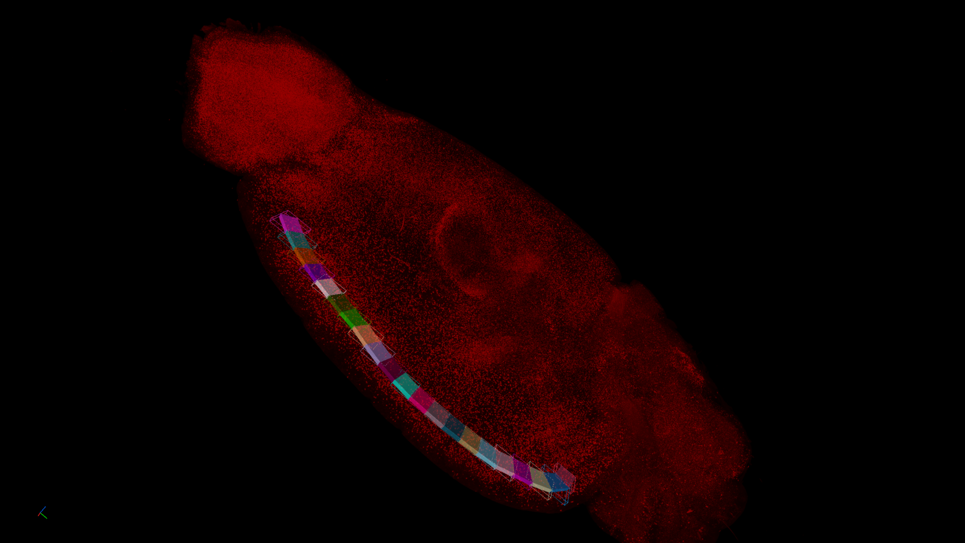 Red 3D point-cloud on black background with multicolored translucent bounding boxes along a curved line