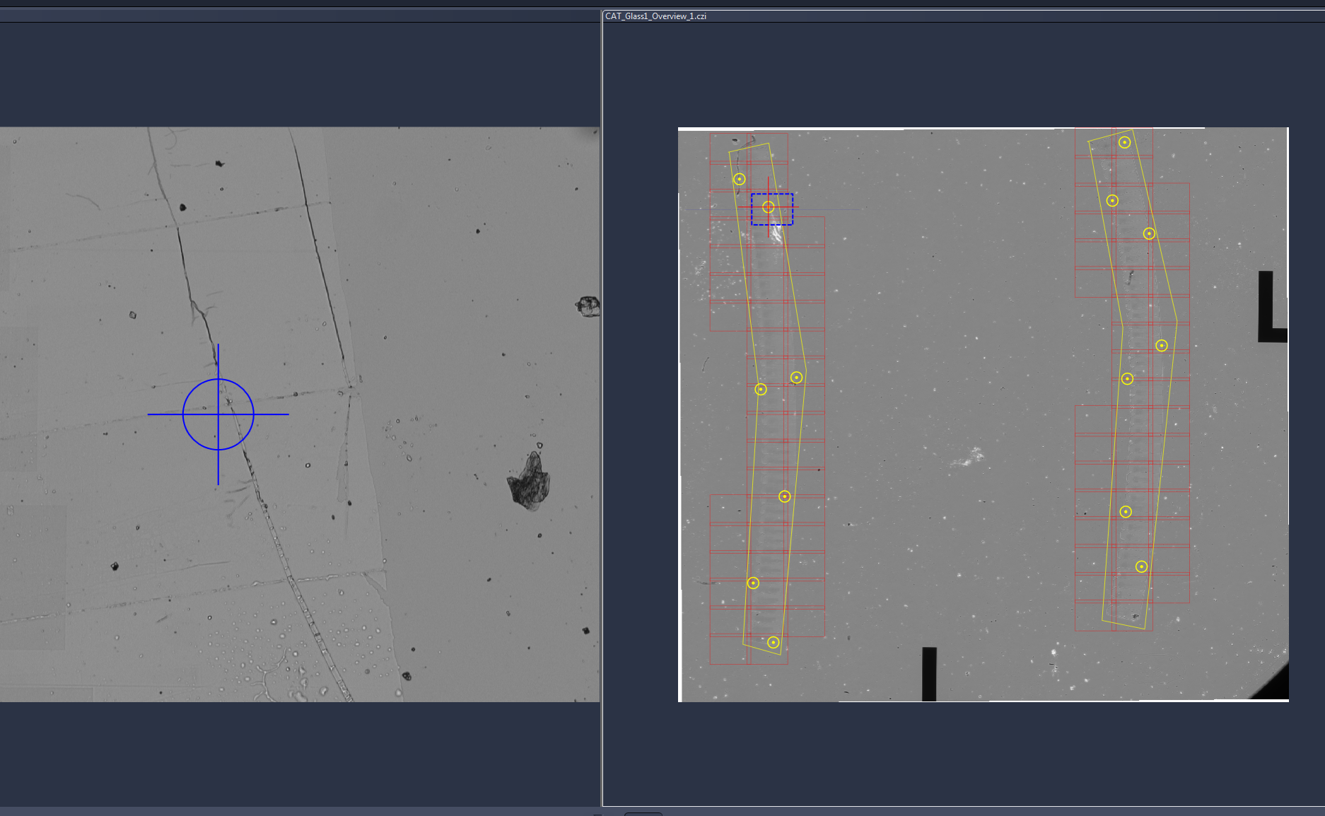 Left microscopy image with blue crosshair; right overview showing two vertical yellow ribbons with red grid and yellow points