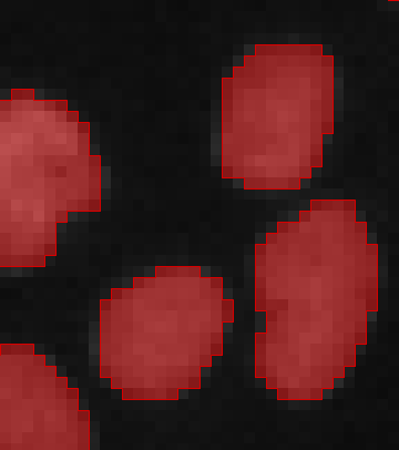 Grayscale rounded objects over dark background with red segmentation overlay outlines