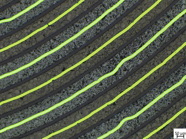 Diagonal textured bands with neon green contour lines and a 50 µm scale bar