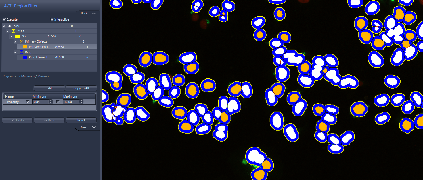 Region Filter panel shows Circularity min 0.850 max 1.000 left; white objects with orange centers outlined blue on black