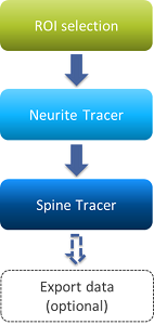Flowchart: ROI selection → Neurite Tracer → Spine Tracer → Export data (optional)