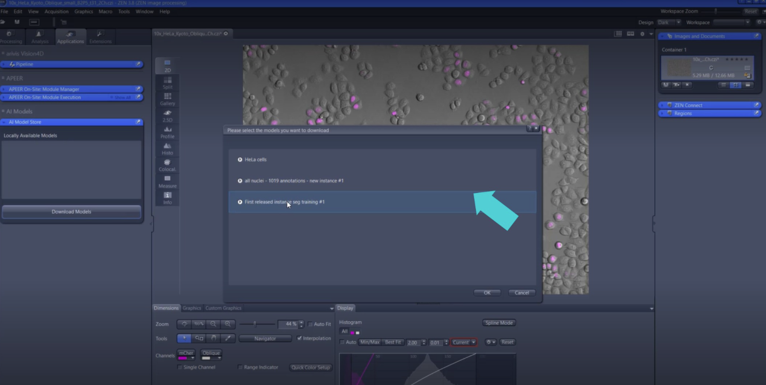 Model selection dialog showing 'First released instance seg training #1' highlighted by a blue arrow over a cell image