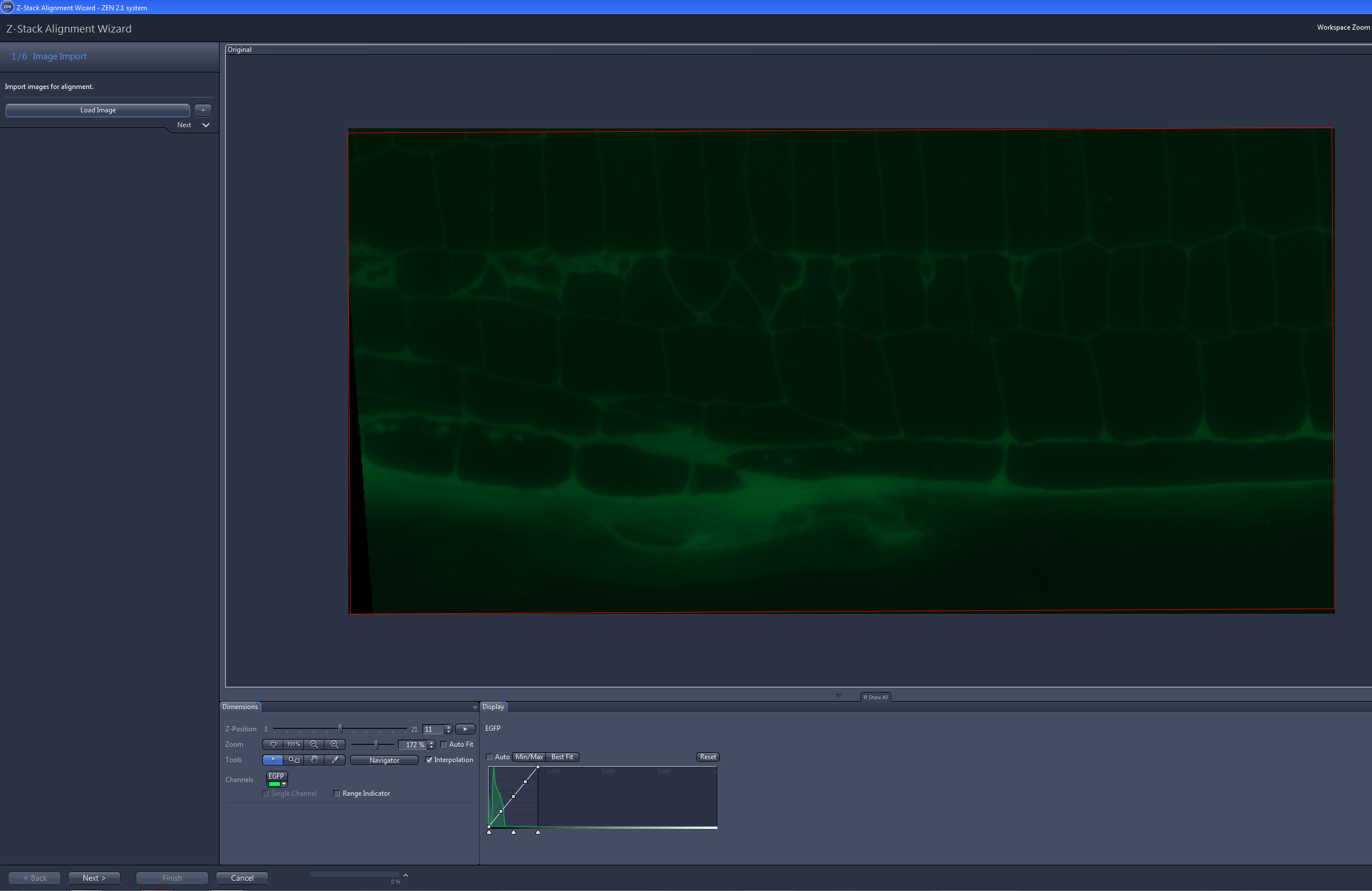 Z-Stack Alignment Wizard Image Import step showing a large green fluorescent microscopy image in the workspace