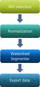 Flowchart of four stacked boxes labeled ROI selection → Normalization → Watershed Segmenter → Export data