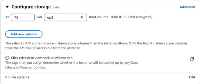Configure storage panel showing 1x 75 GiB gp3 root volume (3000 IOPS, not encrypted) and 'Add new volume' button