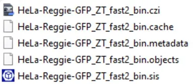 List of five files named HeLa-Reggie-GFP_ZT_fast2_bin with extensions .czi .cache .metadata .objects .sis