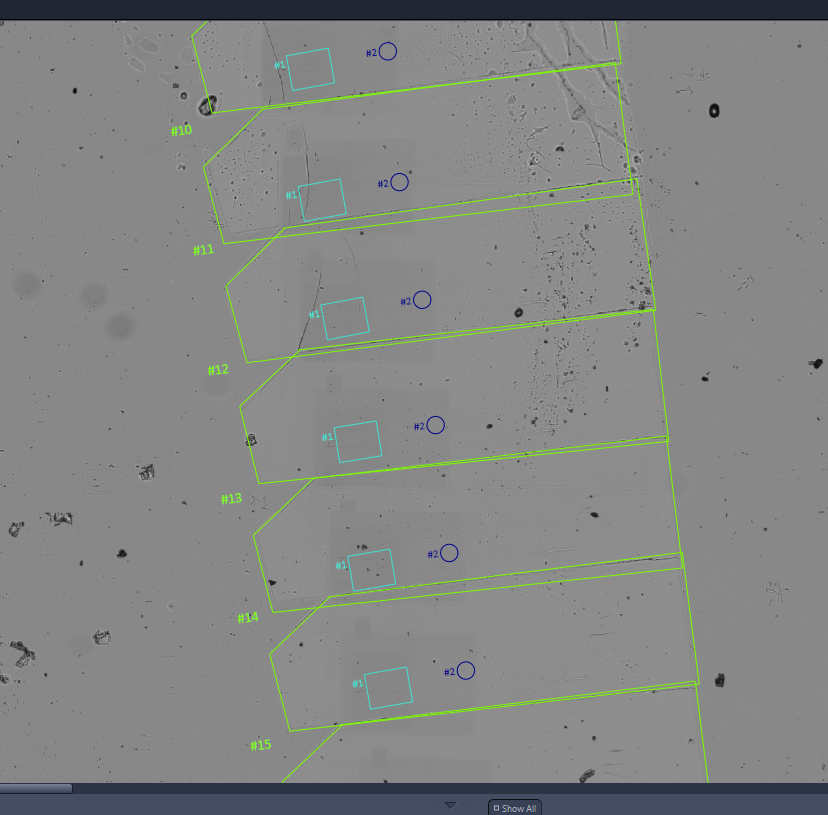 Gray microscope montage with stacked green polygon ROIs labeled #10-#15, cyan squares #1 and blue circles #2