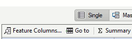 Toolbar area showing Feature Columns..., Go to, Σ Summary and Im/Export... controls