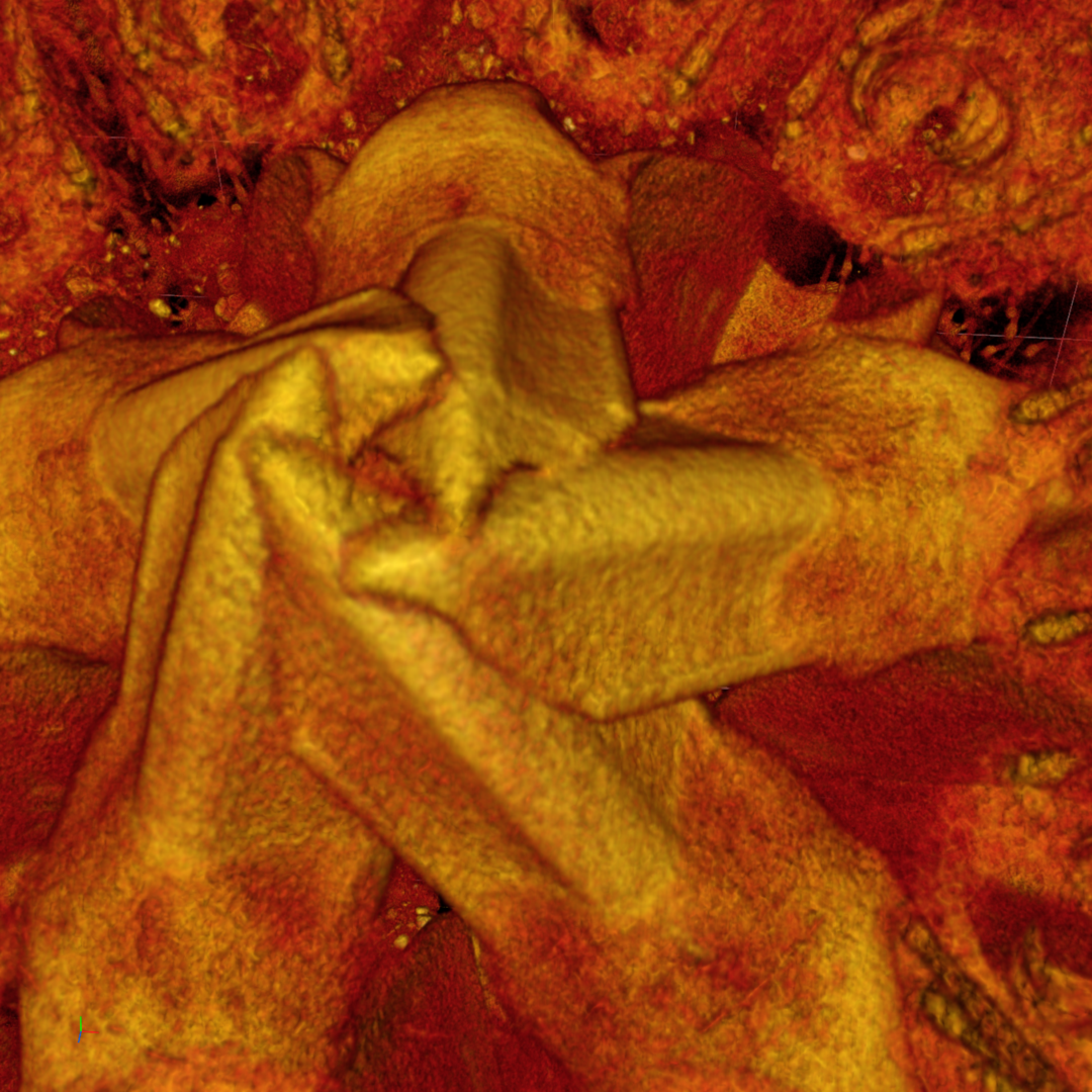 Orange and red granular folded mass with ridged surfaces and scattered background texture