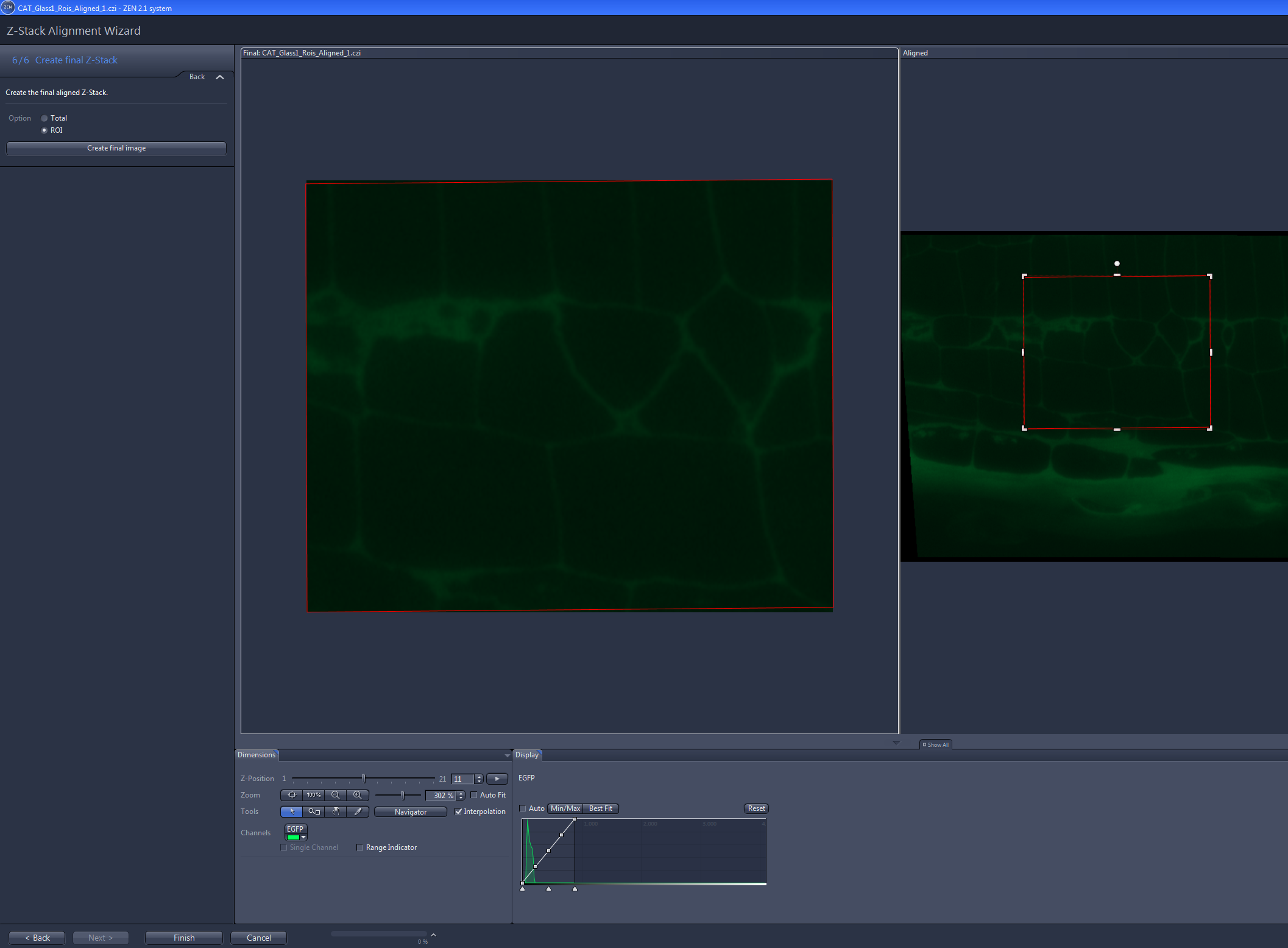 Z-Stack Alignment Wizard Manual Correction step showing red direction arrows over green fluorescence images for alignment
