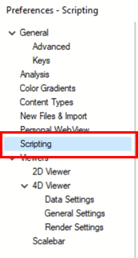 Preferences sidebar with 'Scripting' item highlighted