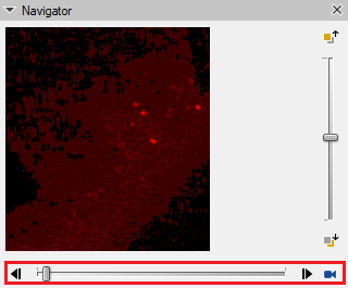 Navigator panel: red microscopy preview with bright red spots, vertical scrollbar and time slider with play controls.