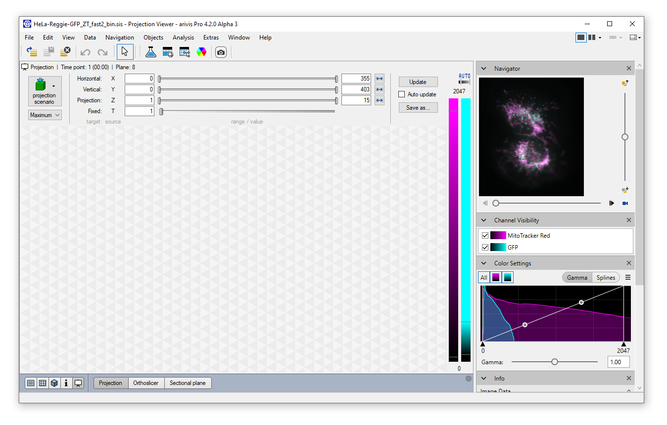 arivis Projection Viewer window with projection sliders left and image preview and Channel Visibility panel right