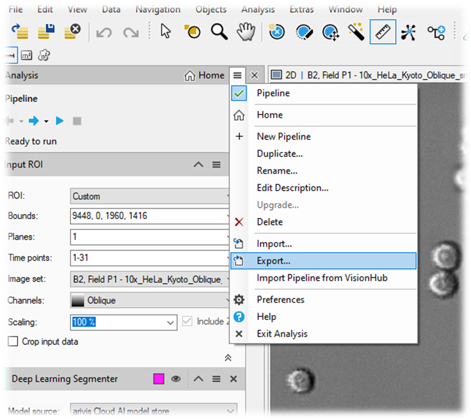 Analysis software window with Pipeline menu open, Export... option highlighted and Input ROI settings panel visible