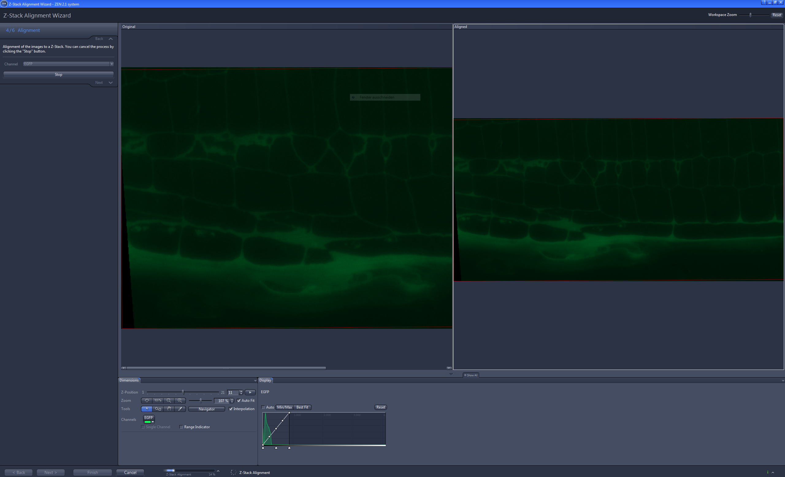 Z-Stack Alignment Wizard Alignment step showing original green fluorescence image left and aligned preview right