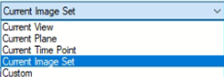 Dropdown showing options: Current View, Current Plane, Current Time Point, Current Image Set (selected), Custom