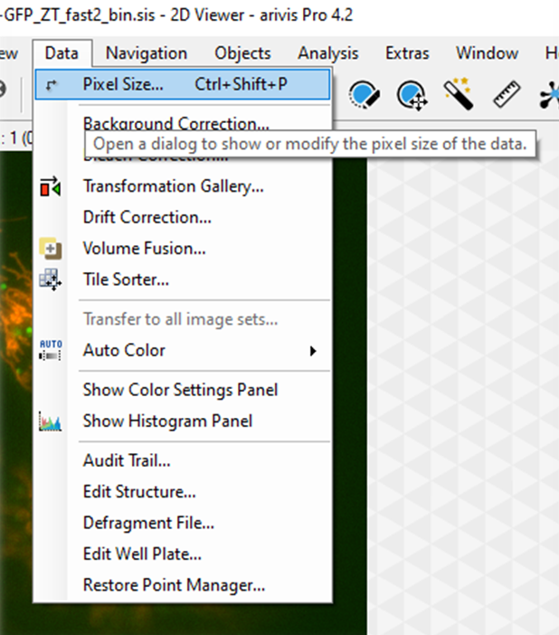 Application window menu with Data menu open and 'Pixel Size...' item highlighted