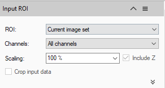 Input ROI dialog: ROI=Current image set; Channels=All channels; Scaling=100% (Include Z); Crop input data unchecked